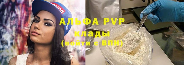 хмурый Дмитров
