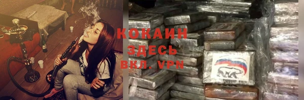 мдпв Елабуга