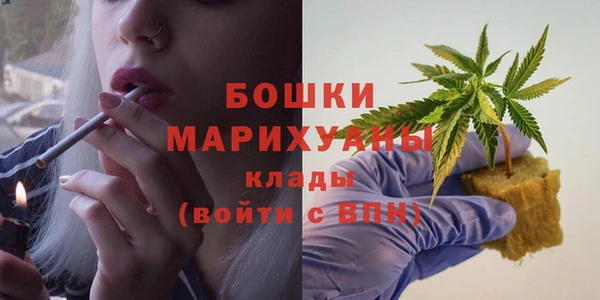 индика Дмитриев