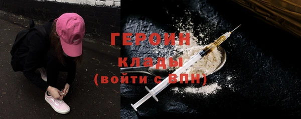 индика Дмитриев