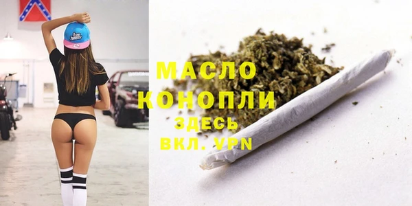 PSILOCYBIN Ельня