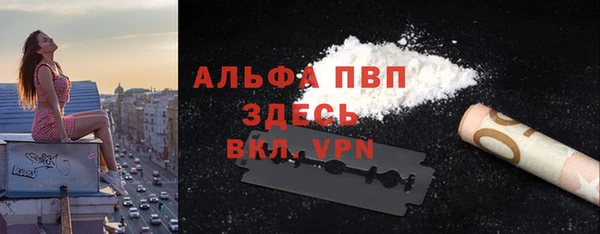 хмурый Дмитров
