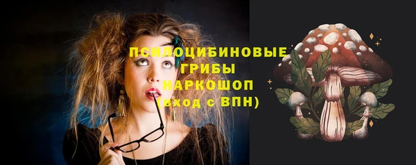 хмурый Дмитров