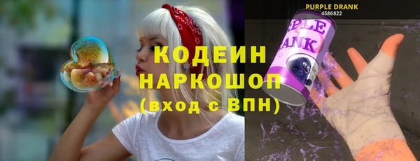 индика Дмитриев