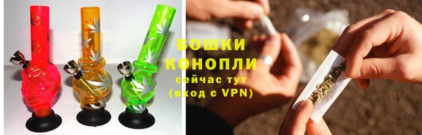 хмурый Дмитров