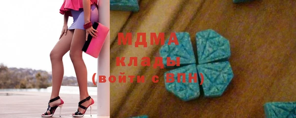индика Дмитриев