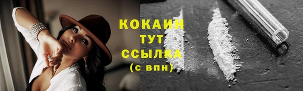гашик Дмитровск
