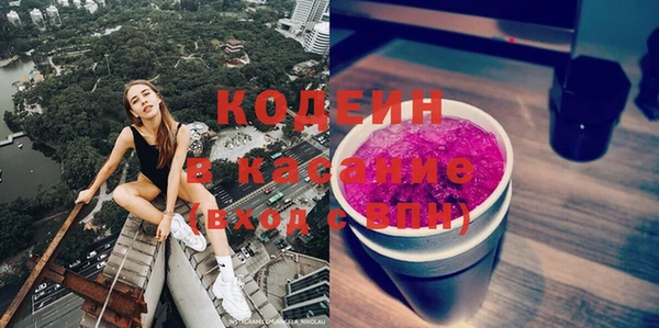 хмурый Дмитров