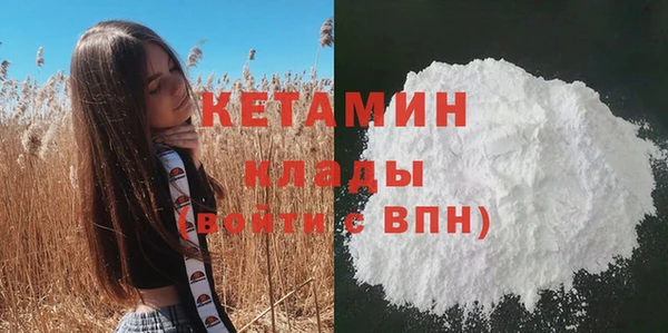гашик Дмитровск
