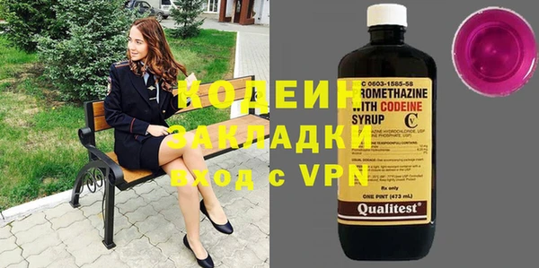 хмурый Дмитров