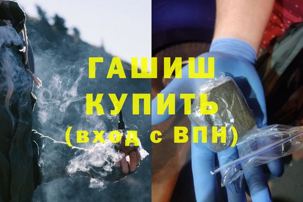 индика Дмитриев