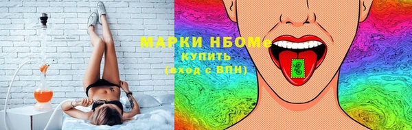 индика Дмитриев