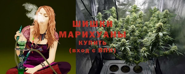 индика Дмитриев