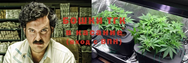 индика Дмитриев