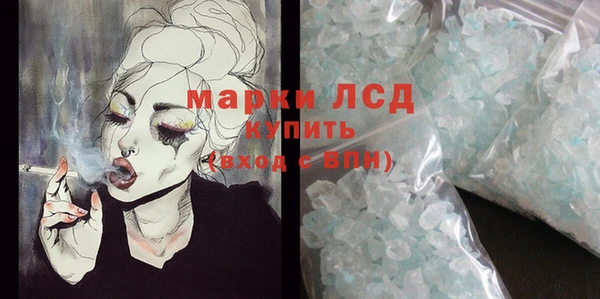 PSILOCYBIN Ельня