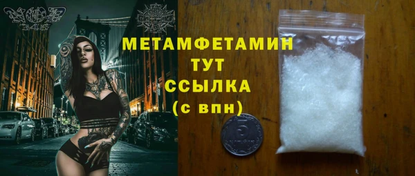 индика Дмитриев