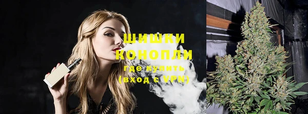 гашик Дмитровск
