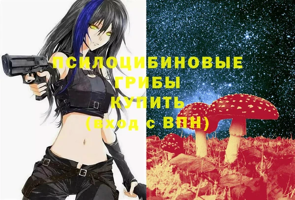 индика Дмитриев