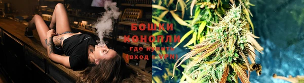 гашик Дмитровск
