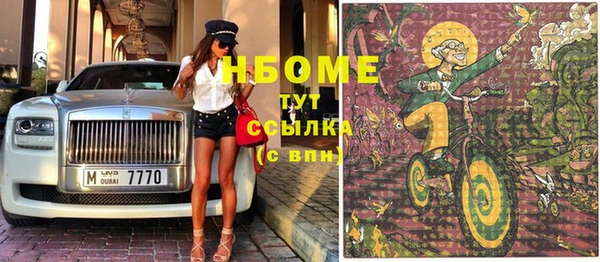 гашик Дмитровск